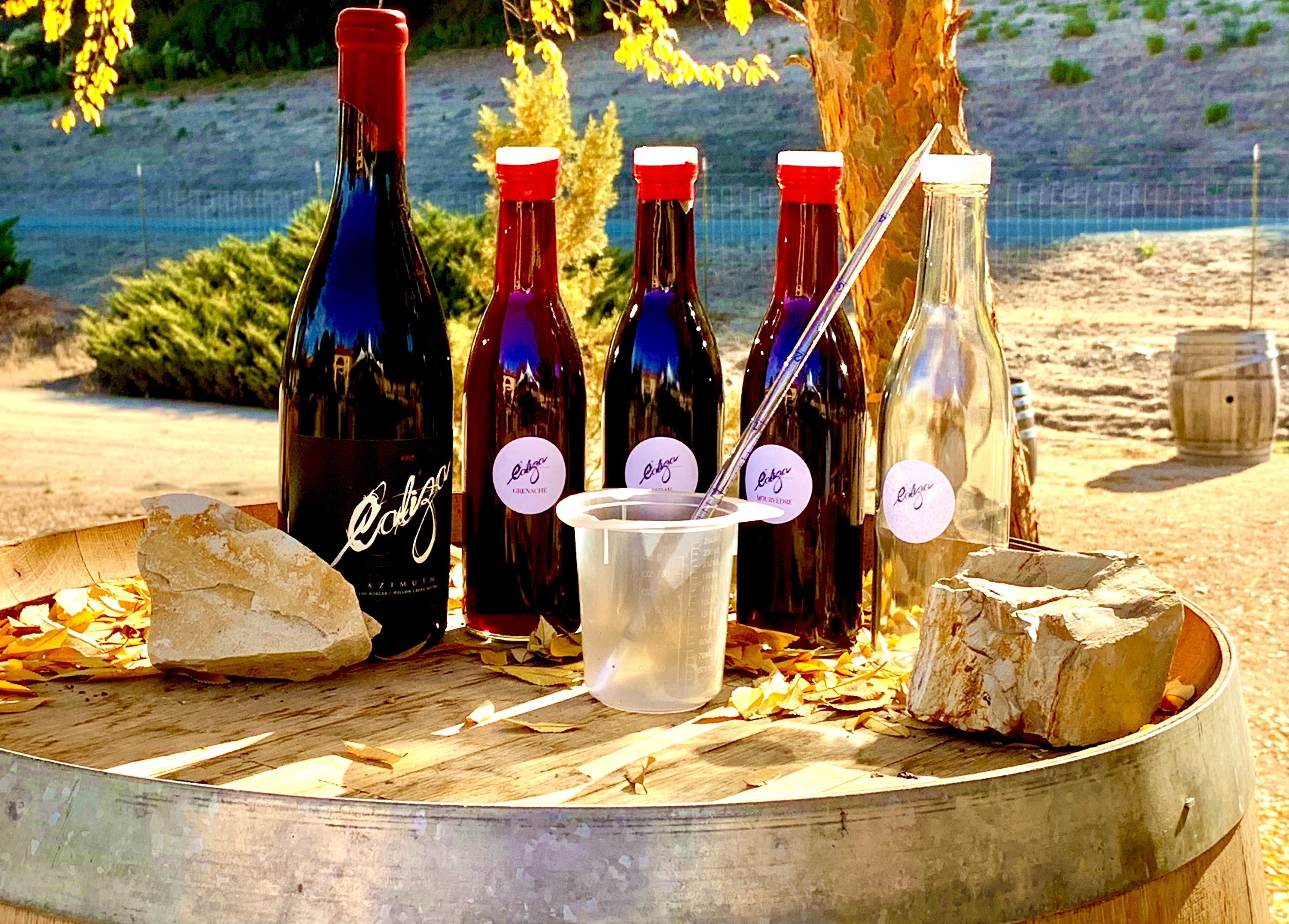 The Best Wine Tasting Kits & Other Fun At Home Experiences Paso